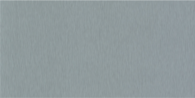 Pewter/Silver